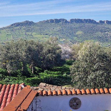 Appartamento La Casa Del Patio Zafra Esterno foto